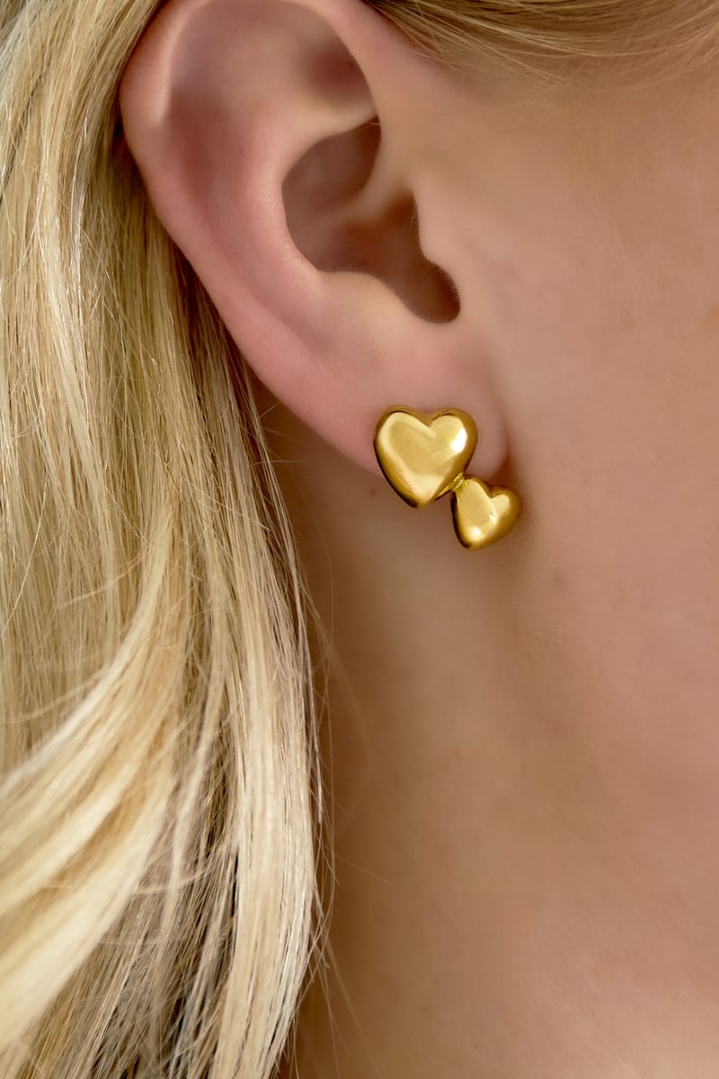 Stainless Steel Stud Earrings Heart Casual Daily Simple Series Women's jewelry