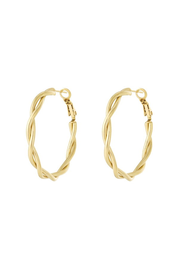 Stainless Steel Hoop Earrings Geometric Casual Daily Simple Series Women's jewelry