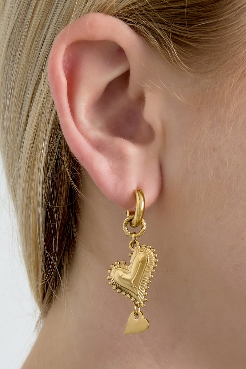 Stainless Steel Drop Earrings Heart Casual Daily Simple Series Women's jewelry